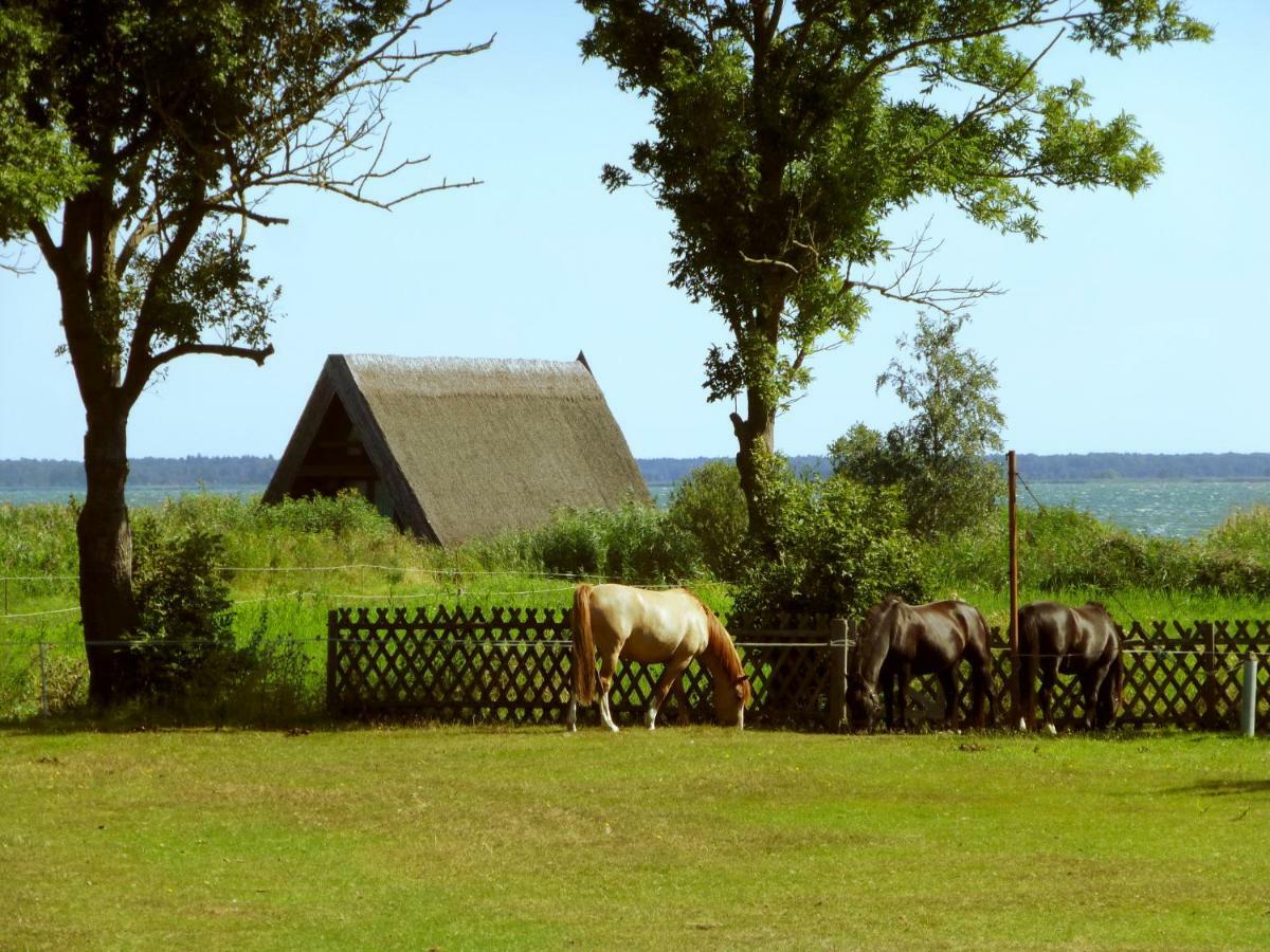 Steinbock-Ferienwohnungen Kolpinsee Exterior photo