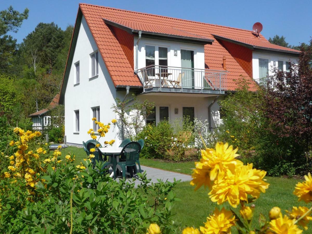 Steinbock-Ferienwohnungen Kolpinsee Exterior photo